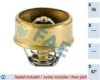 FAE 5201882 Thermostat, coolant